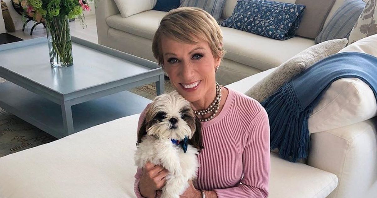 Barbara Corcoran’s NYC Penthouse Is So Fancy! See Photos Inside the ‘Shark Tank’ Star’s Abode