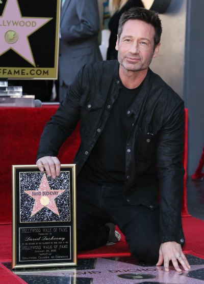 david duchovny getty images