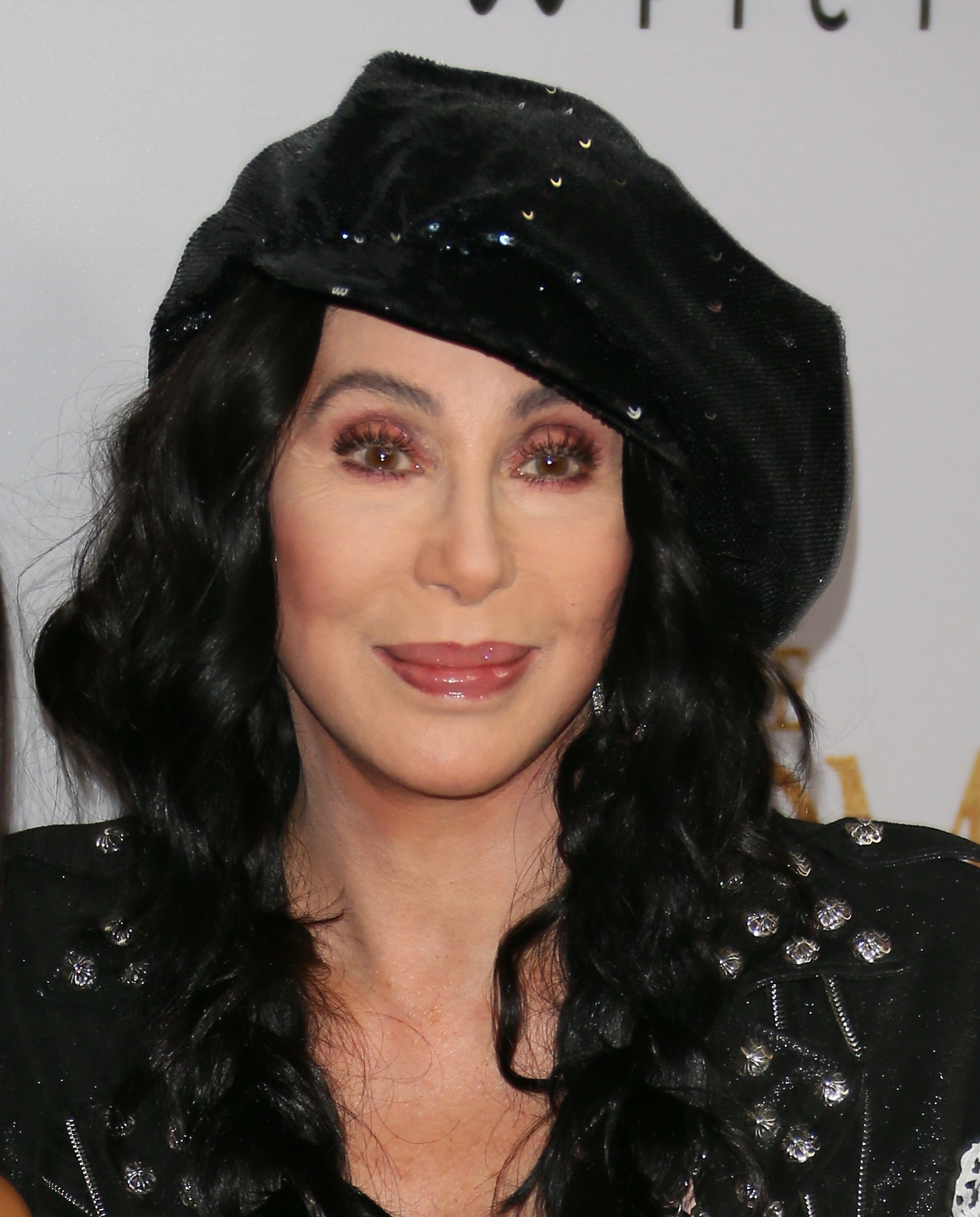 Cher's Plastic Surgery: See Her Transformation Over the Years