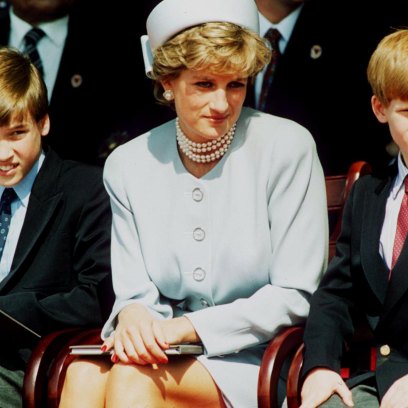 Princess Diana Sons