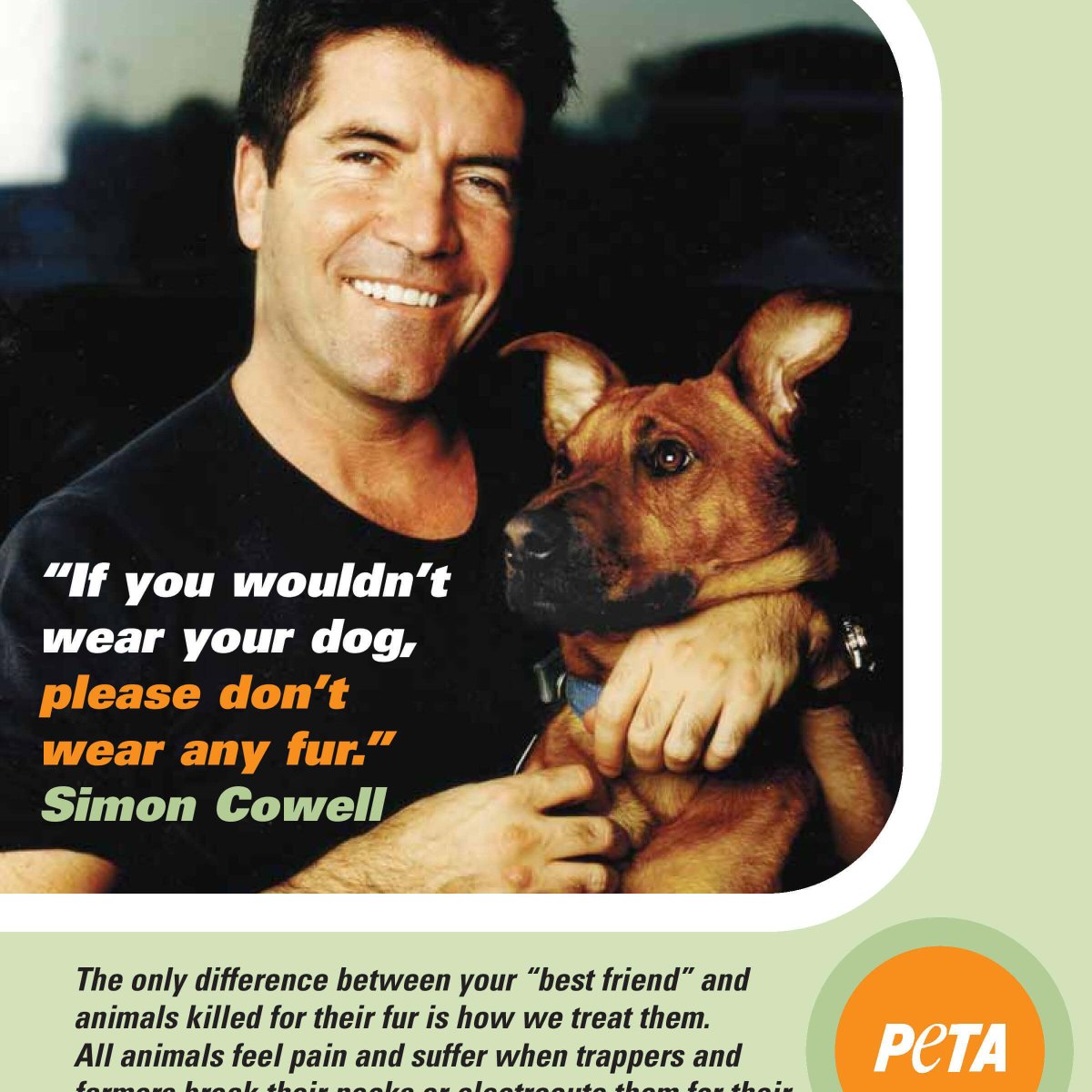 Stars Who Support PETA: See Alyssa Milano, George Lopez, and More Celeb  Campaigns!