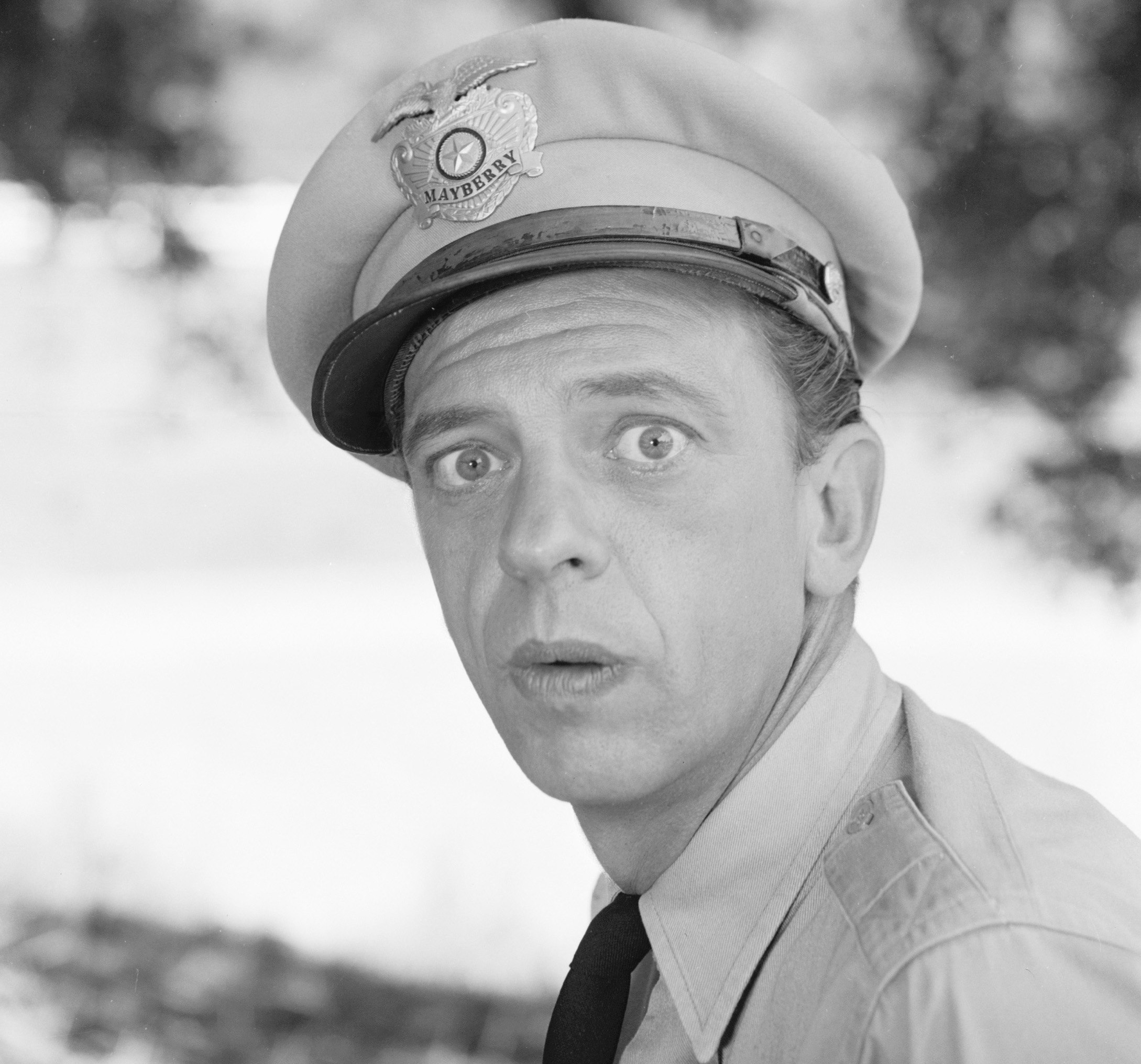 How Don Knotts Went From The Andy Griffith Show To Making Movies