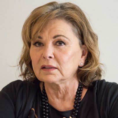 Roseanne barr cancelled tv interview