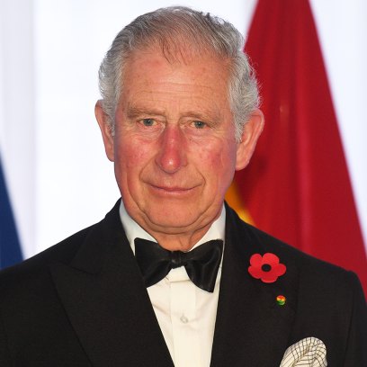 Prince Charles Pollution