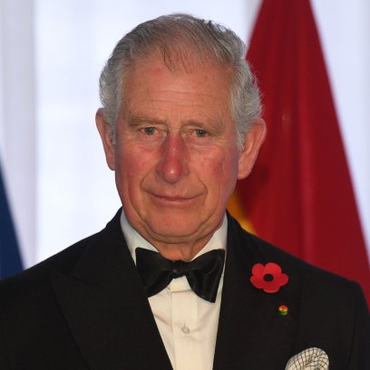 prince-charles-will-keep-his-political-views-to-himself-when-he-becomes-king