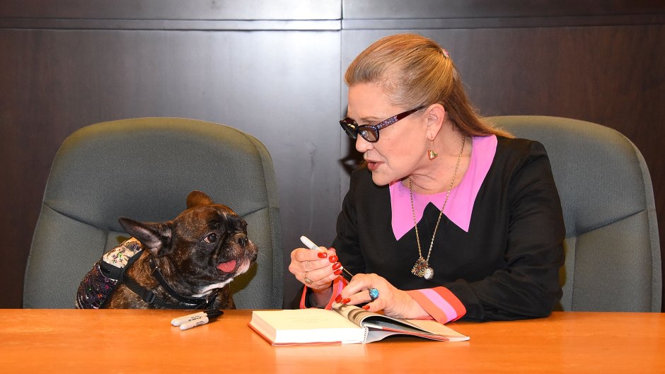 Carrie Fisher Dog Gary