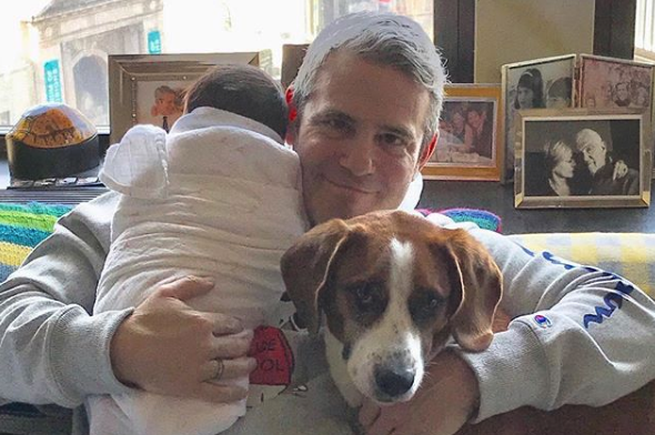 Andy Cohen baby