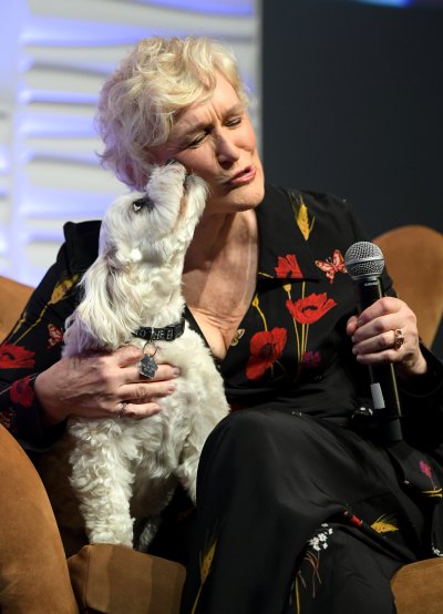 Glenn Close speaks onstage with her dog Sir Pippin of Beanfield at the Maltin Modern Master Award