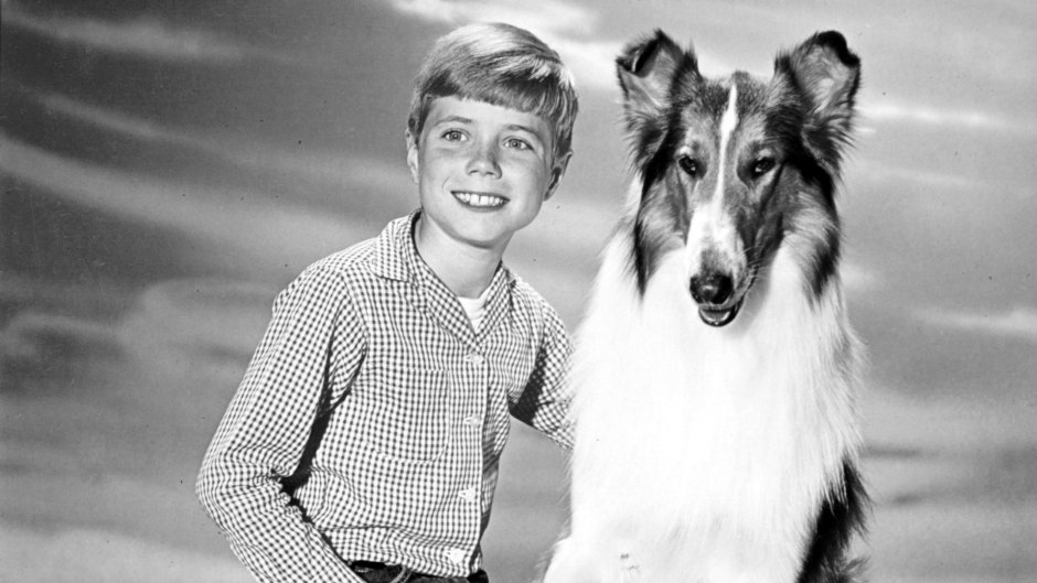 Lassie: Best Of The Lassie Show 