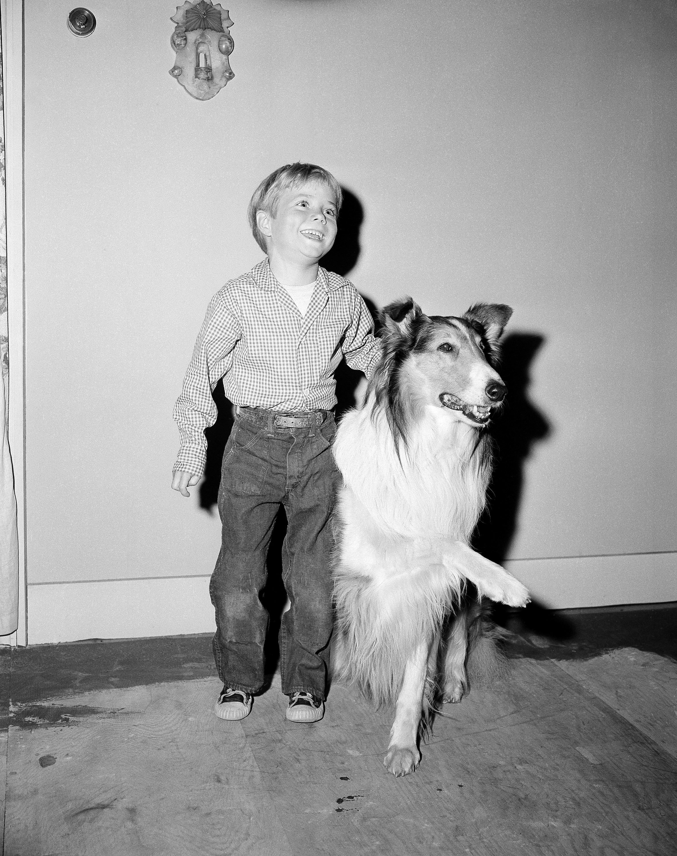 Lassie? Did Timmy Go to Syndication?