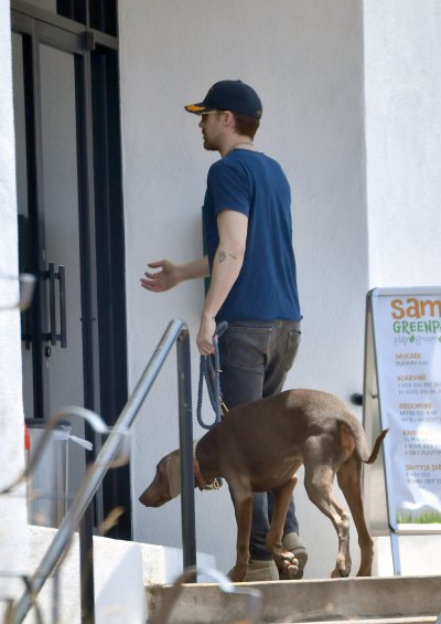 Ryan Gosling and his new dog Lucho