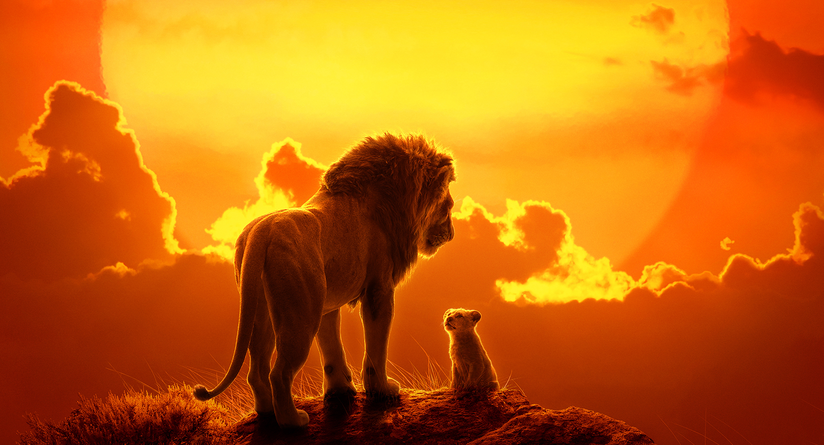 The Lion King Cast Meet The Voices Of The Live Action Characters
