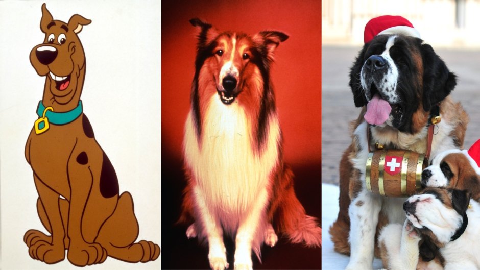 famous-dogs-scooby-doo-lassie-beethoven
