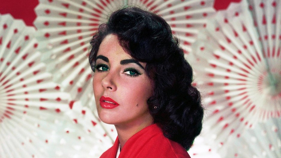 ELIZABETH TAYLOR HOPED THAT HER THINGS WOULD BRING OTHERS JOY WHEN SHE WAS GONE