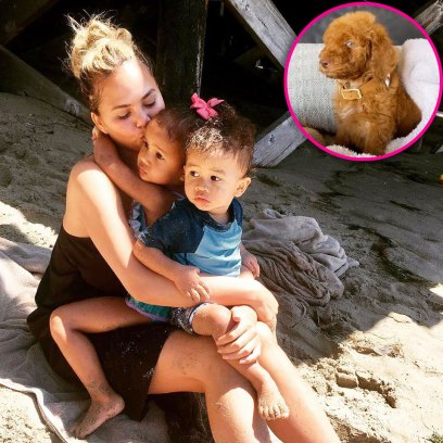 Chrissy Teigen Shares Adorable Clips of Her 2 Kids With Family's New Rescue Dog Petey