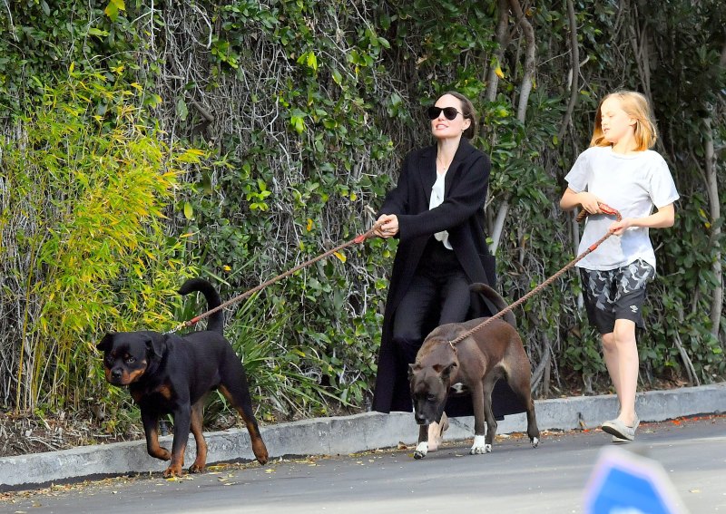 Angelina Jolie and daughter Vivienne are seen being pulled by their dogs as they leave a pet grooming salon in Los Angeles