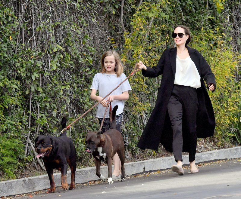 Angelina Jolie and daughter Vivienne are seen being pulled by their dogs as they leave a pet grooming salon in Los Angeles