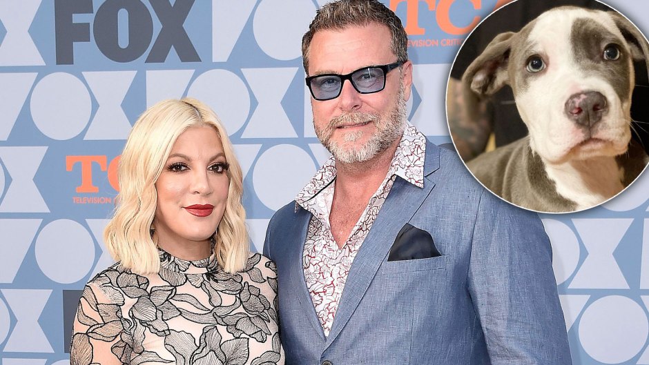 Tori Spelling and Dean McDermott Welcome Adorable Rescue Dog Into Their Family