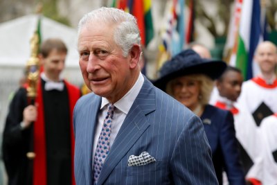Prince Charles Looks Serious in Blue Suit and Polka Dot Tie