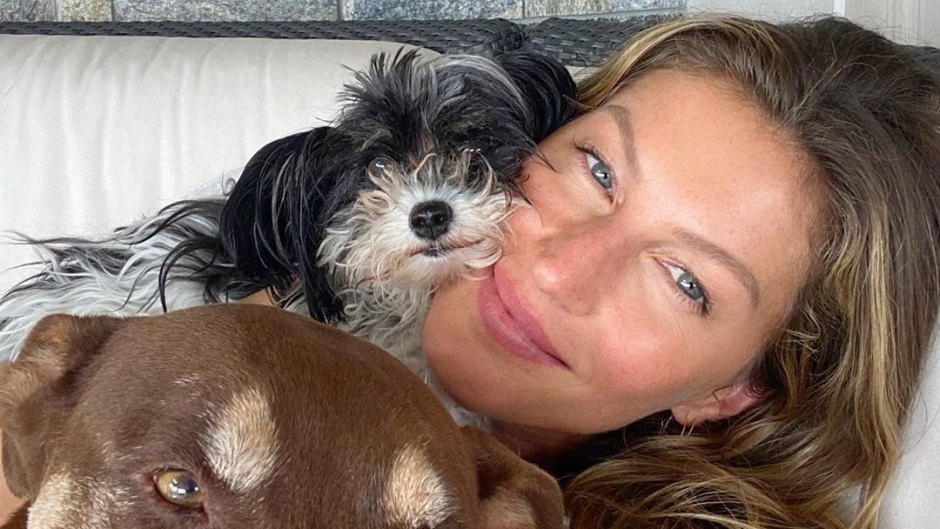 Gisele Bundchen and her dogs