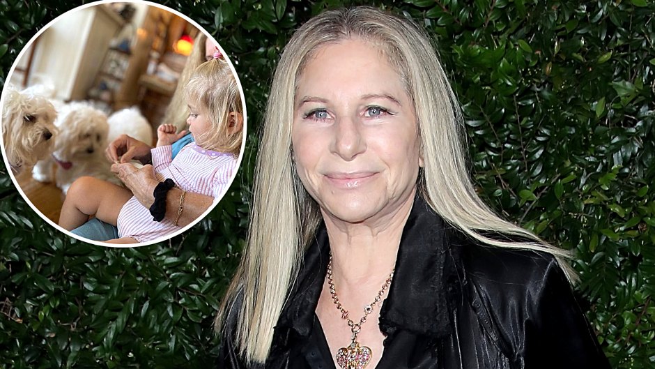 Barbra Streisand Dogs Are Captivated By Her Granddaughter Westlyn