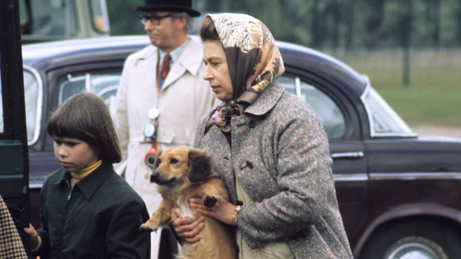 royal-family-pets-a-guide-to-queen-elizabeths-dogs-and-more