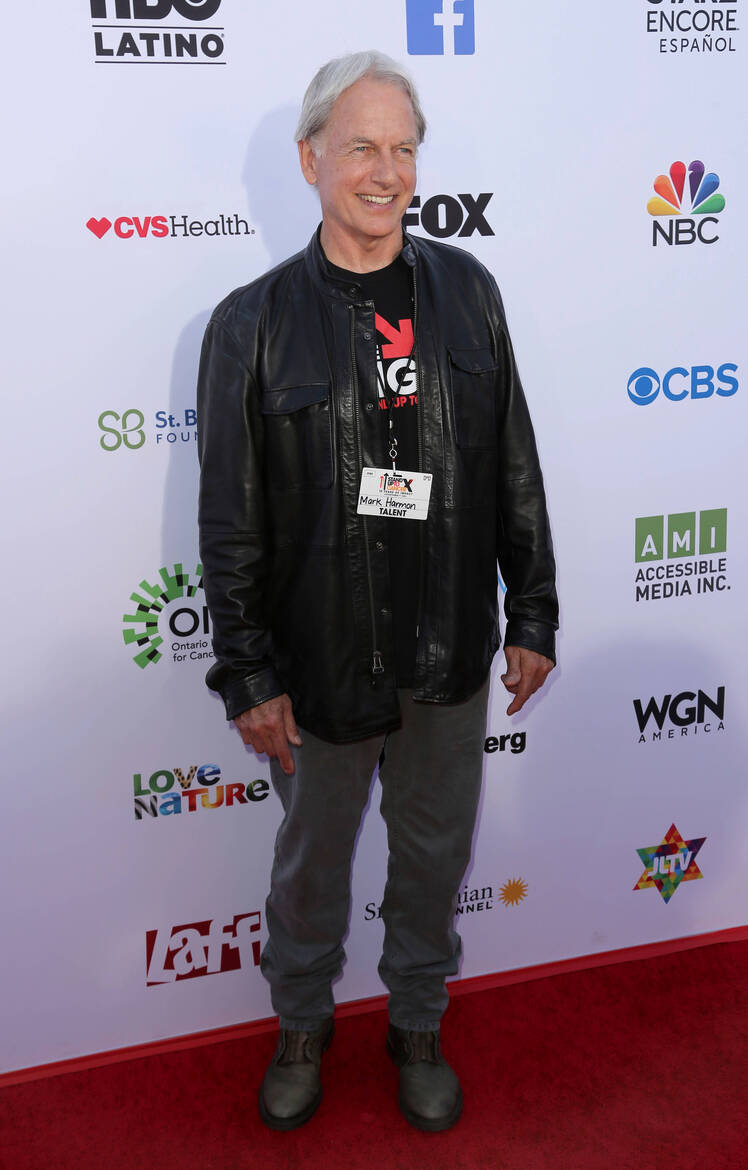 Who Is Mark Harmon's Wife? Meet His Spouse Pam Dawber