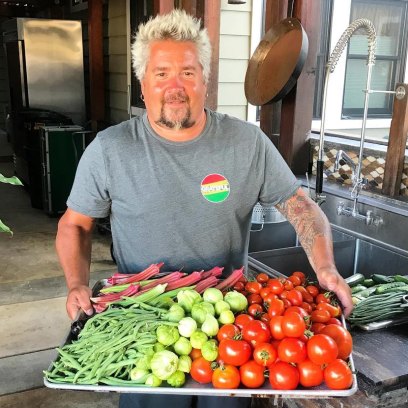 where-does-guy-fieri-live-photos-of-northern-california-home
