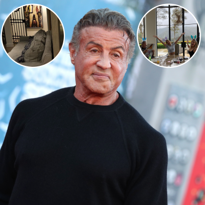 where-does-sylvester-stallone-live-photos-of-beverly-hills-home
