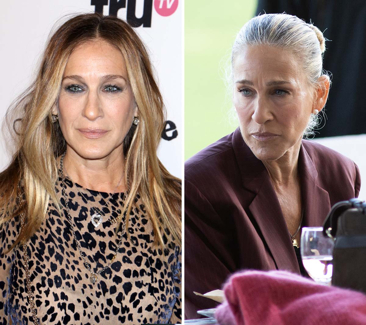Silver foxes: Celebrities with grey hair