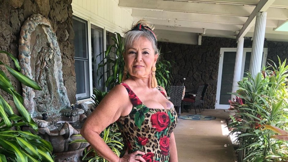 where-does-roseanne-barr-live-photo-and-tour-of-hawaii-home