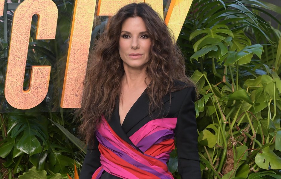 Here's Everything You Need to Know About Sandra Bullock's 2 Adopted Kids, Louis and Laila