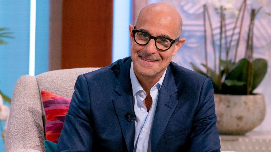 'Hunger Games' Actor Stanley Tucci Is a Marvelous Cook! Take a Tour of His Rustic London Kitchen