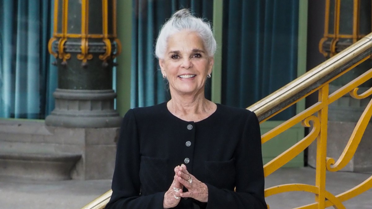 What Happened To Ali Macgraw Career Marriage Details