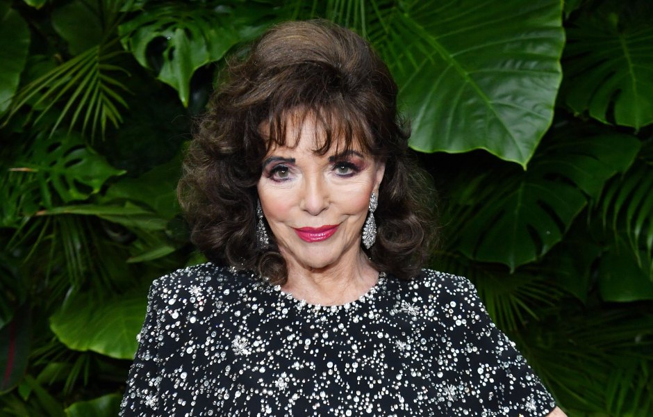 What Happened to Joan Collins? Career, Marriage Details 