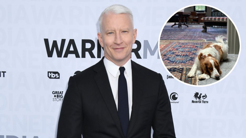 Anderson Cooper House Tour: Photos of New York City Home 