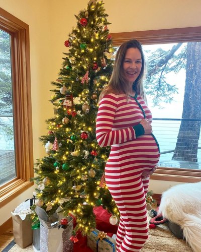 Hilary Swank Has Twins on the Way! See Photos of Her Baby Bump During 1st Pregnancy