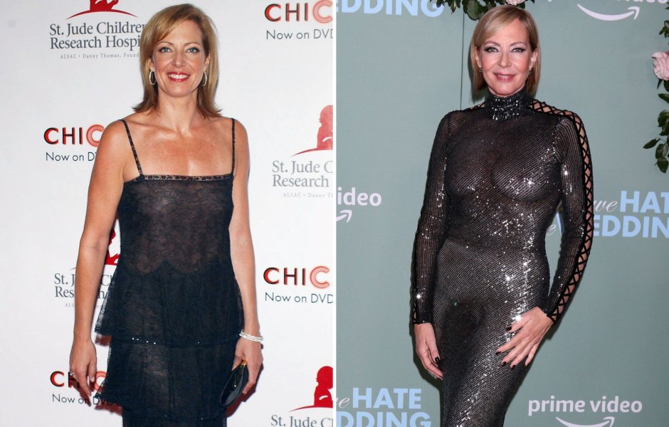 Allison Janney Sheer Outfits: Photos of See-Through Looks 