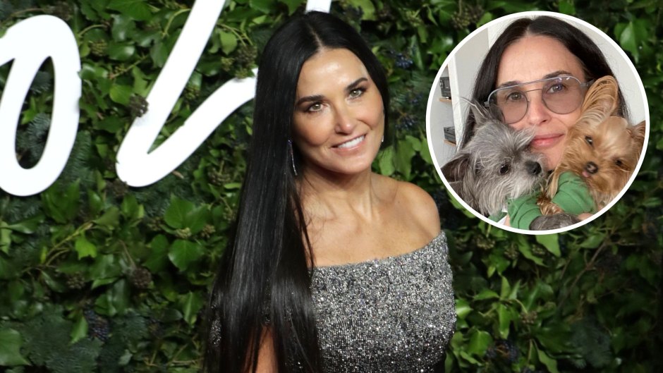 Demi Moore Photos No Makeup: Bare-Faced Pictures, Skincare