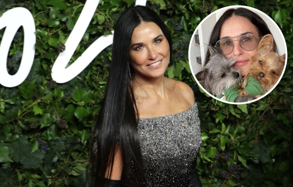 Demi Moore Photos No Makeup: Bare-Faced Pictures, Skincare