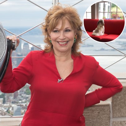 Joy Behar House Photos: Pictures of ‘The View’ Host Home