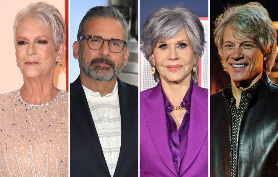 Stars Celebrating Their Natural Gray Hair: Before and After Photos