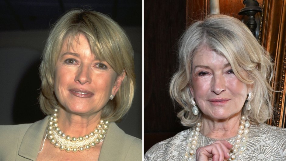 Did Martha Stewart Get Plastic Surgery? Photos and Quotes