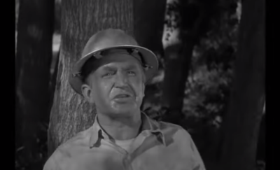 What Happened to The Andy Griffith Show's Karl Swenson?