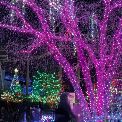 Karen E. Laine shows off Christmas lights display