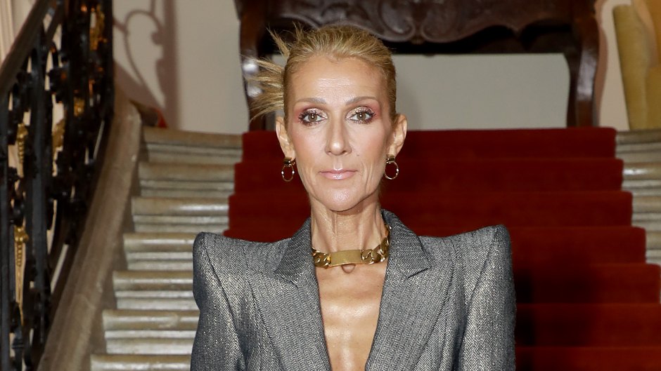 Celine Dion wears silver pantsuit with her hair in a bun