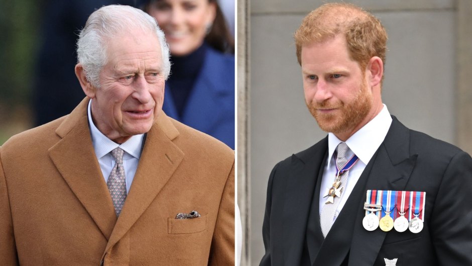 King Charles Sees Princess Diana's 'Good Qualities' in Harry