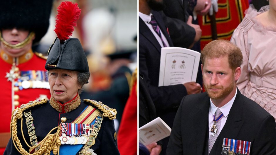 Princess Anne on Coronation Controversy Surrounding Prince Harry