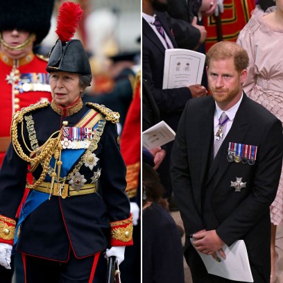 Princess Anne on Coronation Controversy Surrounding Prince Harry