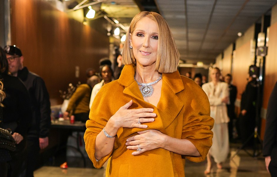 Celine Dion Makes Rare Appearance at 2024 Grammys Amid Illness